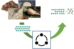 Graphical abstract: Mechanocatalytic partial depolymerization of lignocellulosic feedstock towards oligomeric glycans