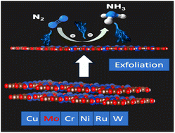 Graphical abstract: A Mo–salicylaldehyde-linker (Mo–Tp) based 2D MOF as a single-atom catalyst for the nitrogen reduction reaction