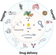 Graphical abstract: Biomolecule-protected gold nanoclusters: synthesis and biomedical applications