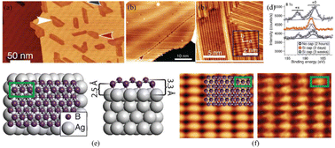 Graphical abstract: Borophenes: monolayer, bilayer and heterostructures
