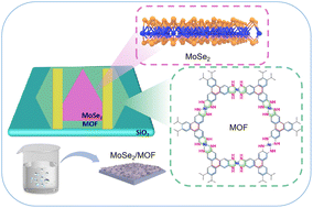 Graphical abstract: Enhanced carrier transport of monolayer MoSe2 through interlayer coupling with in situ grown metal–organic frameworks
