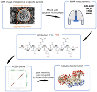 Graphical abstract: Conformational analysis of biomineral proteins interacting with inorganic minerals using dispersive mineral particles for solution NMR
