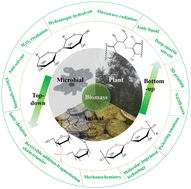 Graphical abstract: Towards the sustainable production of biomass-derived materials with smart functionality: a tutorial review
