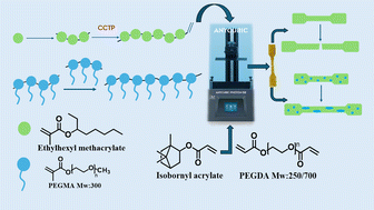 Graphical abstract: Vat photopolymerization using catalytic chain transfer polymerization (CCTP) derived reactive oligomers to influence mechanical properties