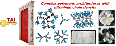 Graphical abstract: Straightforward synthesis of complex polymeric architectures with ultra-high chain density