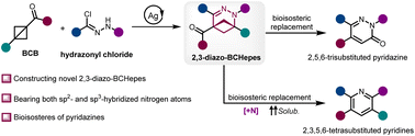 Graphical abstract: Silver-mediated formal [4π + 2σ] cycloaddition reactions of bicyclobutanes with nitrile imines: access to 2,3-diazobicyclo[3.1.1]heptenes