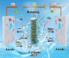 Graphical abstract: Revealing the mass transfer of proton donors for tailoring hydrogen evolution coupled with manganese electrodeposition