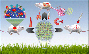 Graphical abstract: Crafting nature's wonders: nanoarchitectonics developments in bioinspired nanocellulose-based stimuli-responsive supramolecular matrices