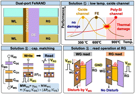 Graphical abstract: Dual-port ferroelectric NAND flash memory for large memory window, QLC programmable and disturbance-free operations