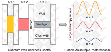 Graphical abstract: Quantum well thickness control of a hybrid perovskite to achieve a tunable anisotropic photoresponse