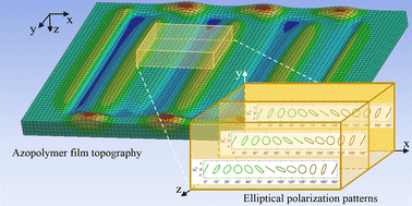 Graphical abstract: Viscoplastic photoalignment modeling of asymmetric surface restructuring in azopolymer films by elliptically polarized light