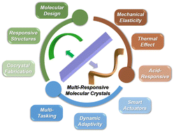 Graphical abstract: Versatile responses beyond photomechanical behavior based on dynamic molecular crystals