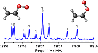 Graphical abstract: Microwave spectroscopy of the vinylperoxy radical, CH2CHOO