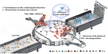 Graphical abstract: The spontaneous cascade optimization strategy of the double enrichment improves anion-derived solid electrolyte interphases to enable stable lithium-metal batteries