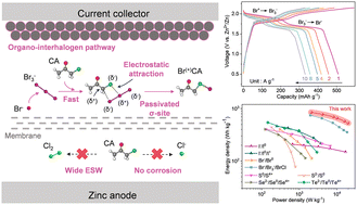 Graphical abstract: Organo-interhalogen chemistry enables high-voltage bromine redox for stable zinc batteries