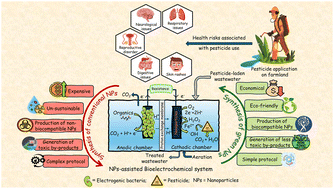 Graphical abstract: Green-synthesized nanoparticles: the next frontier in the bioelectrochemical mitigation of pesticides