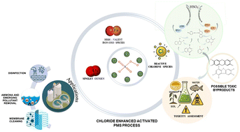 Graphical abstract: From scavenger to catalyst: the emerging role of chloride in peroxymonosulfate-based advanced oxidation processes