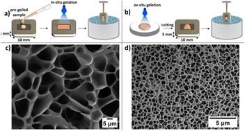 Graphical abstract: Concluding remarks: Faraday Discussions on Advances in supramolecular gels