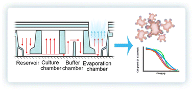 Graphical abstract: A novel microfluidic self-perfusion chip (MSPC) for pumpless 3D cell, microtissue and organoid culture