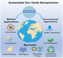 Graphical abstract: From clinic to ecosystem: sustainable zinc oxide nanoparticles as dual-purpose agents for Big Health