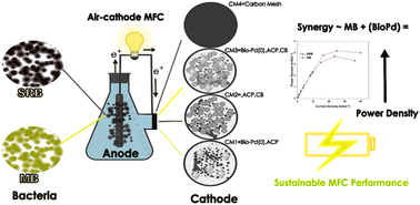 Graphical abstract: Enhancing air-cathode MFC performance using bio-palladium catalysts and microbial consortia