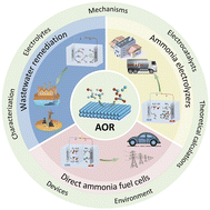 Graphical abstract: Non-noble-metal catalysts for electrocatalytic ammonia oxidation