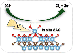 Graphical abstract: Trends in competing oxygen and chlorine evolution reactions over electrochemically formed single-atom centers of MXenes