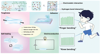 Graphical abstract: Instant self-healing adhesive hydrogel sensors: dual-network design for real-time human motion tracking