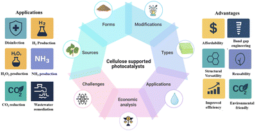 Graphical abstract: Engineered cellulose-supported photocatalysts for clean energy and environmental remediation: progress and prospects