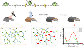 Graphical abstract: A sprayable H-bonding coumarin-containing compound for photoalignment of liquid crystals on a curved surface