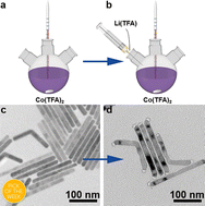 Graphical abstract: Precisely synthesized LiF-tipped CoF2-nanorod heterostructures improve energy storage capacities
