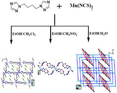Graphical abstract: Solvent-controlled assembly of supramolecular isomers: 2D (4,4) network, 1D ribbons of ring, and both 2D (4,4) networks and 1D ribbons of rings polycatenated in a 3D array