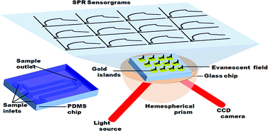 Graphical abstract: Electrokinetic label-free screening chip: a marriage of multiplexing and high throughput analysis using surface plasmon resonance imaging