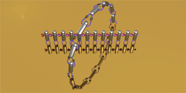 Graphical abstract: Self-assembly of inorganic nanorods