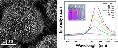 Graphical abstract: Heterogeneous ZnS hollow urchin-like hierarchical nanostructures and their structure-enhanced photocatalytic properties