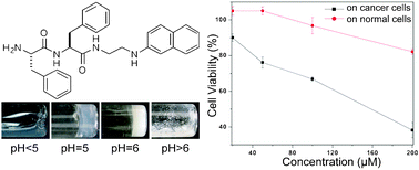 Graphical abstract: Supramolecular hydrogelators of N-terminated dipeptides selectively inhibit cancer cells