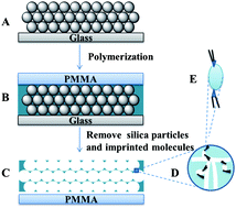 Graphical abstract: Label-free colorimetric detection of trace cholesterol based on molecularly imprinted photonic hydrogels