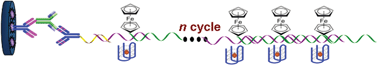 Graphical abstract: Hemin/G-quadruplex-based DNAzyme concatamers as electrocatalysts and biolabels for amplified electrochemical immunosensing of IgG1