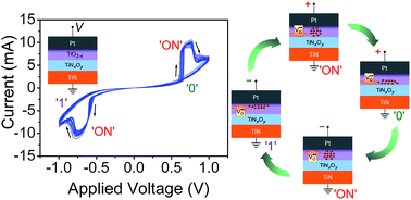 Graphical abstract: Programmable complementary resistive switching behaviours of a plasma-oxidised titanium oxide nanolayer