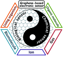 Graphical abstract: Graphene-based electronic sensors