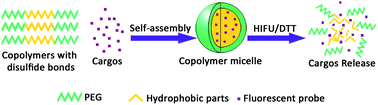 Graphical abstract: Fast release behavior of block copolymer micelles under high intensity focused ultrasound/redox combined stimulus