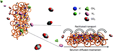 Graphical abstract: Poly(vinylpyrrolidone)/KF electrolyte membranes for facilitated CO2 transport