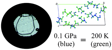 Graphical abstract: Polymorphism of “glycine–glutaric acid” co-crystals: the same phase at low temperatures and high pressures