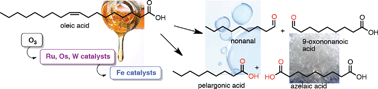 Graphical abstract: Transition metal-catalyzed oxidative double bond cleavage of simple and bio-derived alkenes and unsaturated fatty acids