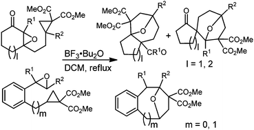 Graphical abstract: Construction of fused- and spiro-oxa-[n.2.1] skeletons by a tandem epoxide rearrangement/intramolecular [3+2] cycloaddition of cyclopropanes with carbonyls