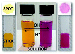 Graphical abstract: A nanocellulose–dye conjugate for multi-format optical pH-sensing