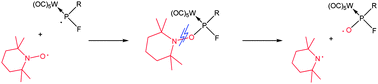 Graphical abstract: Selective phosphanyl complex trapping using TEMPO. Synthesis and reactivity of P-functional P-nitroxyl phosphane complexes