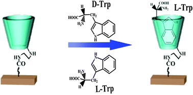 Graphical abstract: Chiral recognition of l-tryptophan with beta-cyclodextrin-modified biomimetic single nanochannel