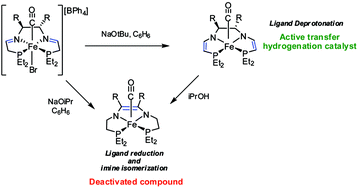 Graphical abstract: Exploring the decomposition pathways of iron asymmetric transfer hydrogenation catalysts