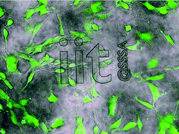 Graphical abstract: Biomimicry at the nanoscale: current research and perspectives of two-photon polymerization